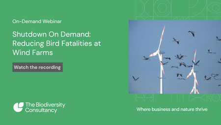 Shutdown On Demand: Reducing Bird Fatalities at Wind Farms