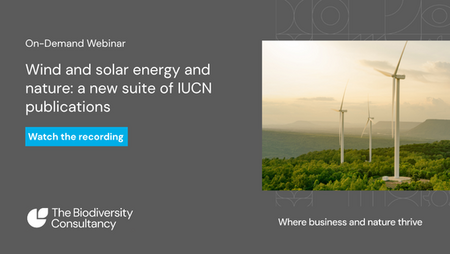 Wind and solar energy and nature: a new suite of IUCN publications
