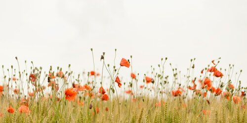 Nature-Related Disclosures