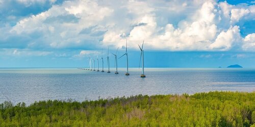 Vietnam's Path to 6 GW by 2030: Offshore wind planning through a biodiversity and marine spatial lens
