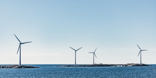 World Bank in planning for nature safe offshore wind development