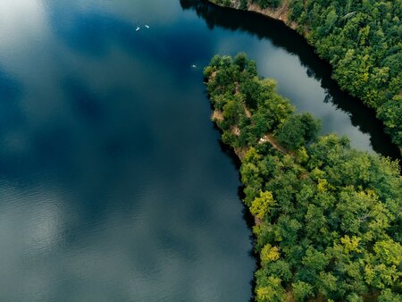 The Biodiversity Consultancy and TotalEnergies Share Results of the BFIS Public Consultation