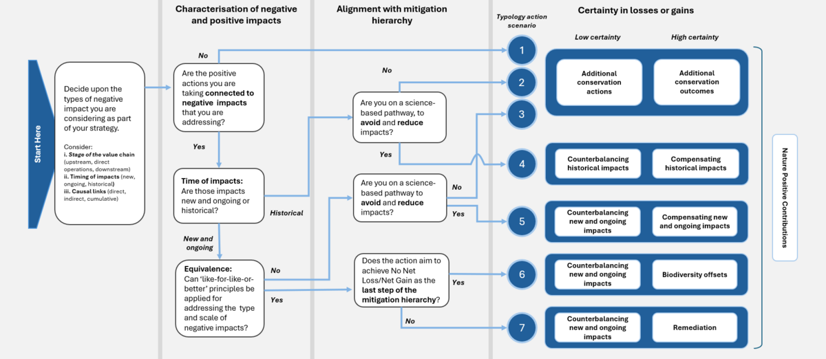 A decision-tree by The Biodiversity Consultancy to help businesses classify their nature positive actions.