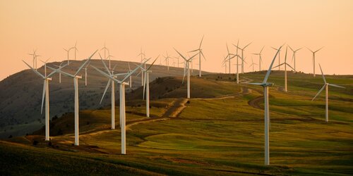 Mitigating biodiversity impacts associated with solar and wind energy development with IUCN