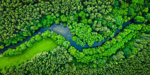 Forestry & Agri-business