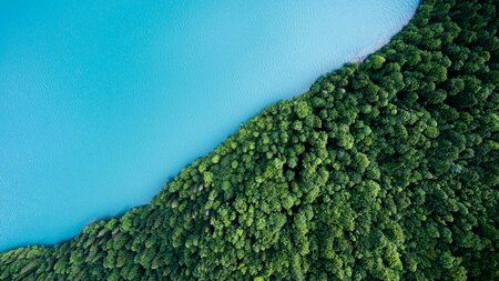 Birds eye image of a bright, light blue body of water, with a green forest in the lower, right hand corner.