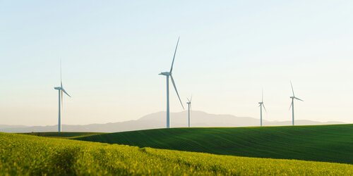 How TBC Helped Ørsted Strengthen Biodiversity Measurement Across Its Renewable Energy Portfolio