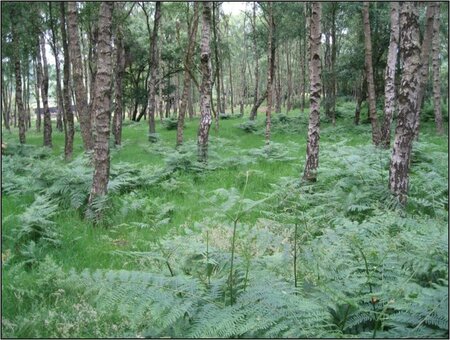 Quantifying no net loss: Testing a possible method for measuring biodiversity losses and gains at Bardon Hill Quarry, UK.