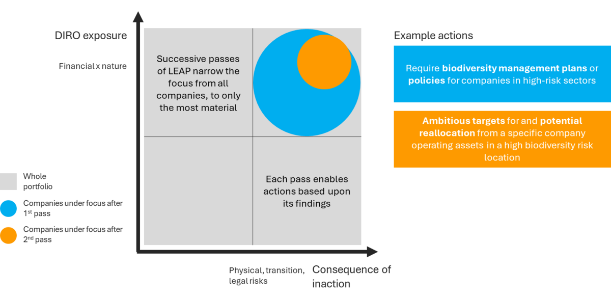 A graph visualising how successive passes of TNFD's LEAP approach narrow focus and justify action. The y axis is labelled 'DIRO exposure' and the x axis is labelled 'consequence of action'.
