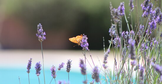 What does nature positive mean for business?