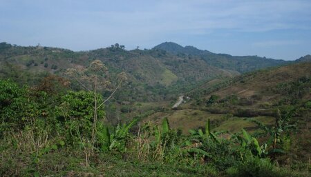 Biodiversity offsets technical study paper