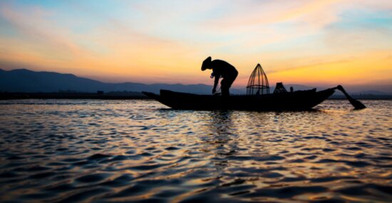 Understanding ecosystem services risks and opportunities