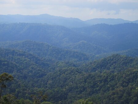 Landscape of the Taninthayi Nature Reserve