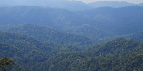 Taninthayi Nature Reserve