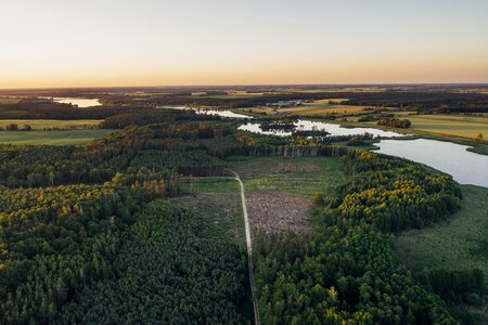 Aerial photo of green trees with a low, fading orange sunset in the background.