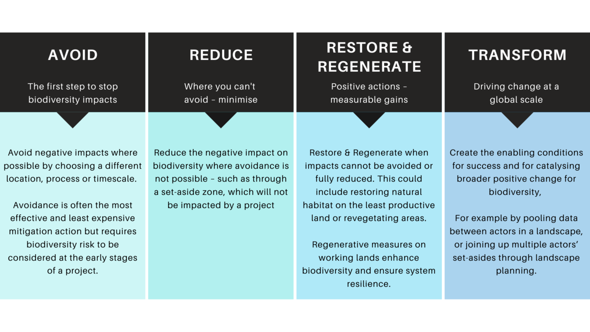 An infographic of the AR3T Framework