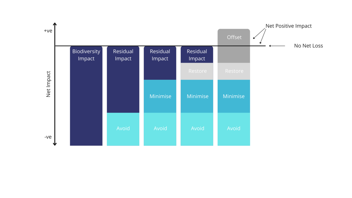 The Mitigation Hierarchy