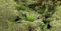 Sustainability is a business-wide activity 