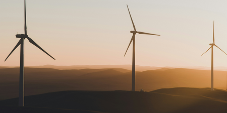 A global approach for setting bat impact thresholds at wind farms