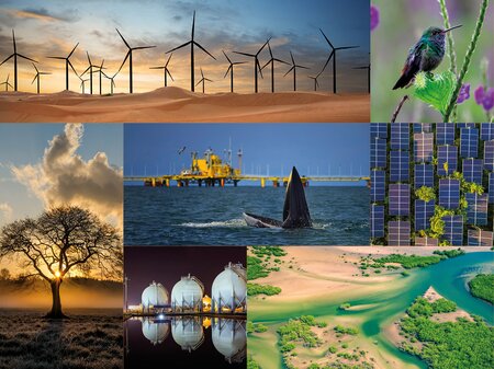 The Biodiversity Consultancy and TotalEnergies launched The Biodiversity Footprint Impact from Sites (BFIS) Public Consultation