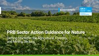 The Biodiversity Consultancy and UNEP-FI launched PRB Sector Action Guidance for Nature 