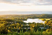 Collaborative Research Explores Opportunities to Strengthen Corporate Biodiversity Commitments 