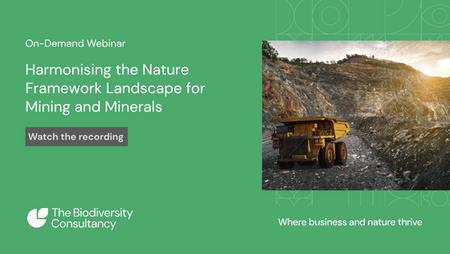 Harmonising the Nature Framework Landscape for Mining and Minerals