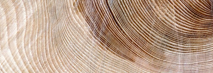 A close-up of woodgrain