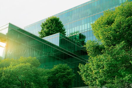 Glass building reflecting sunlight whilst surrounded by lush, green trees.