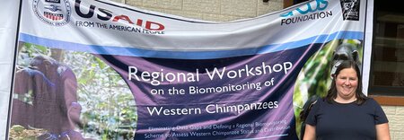 Biomonitoring Western Chimpanzees: the why, what, and how