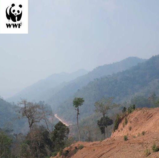 Front cover of WWF Public Development Banks and Biodiversity Report