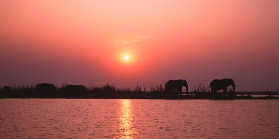 Protected areas and IFC Performance Standard 6