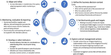 A framework to guide biodiversity indicator development for business performance management