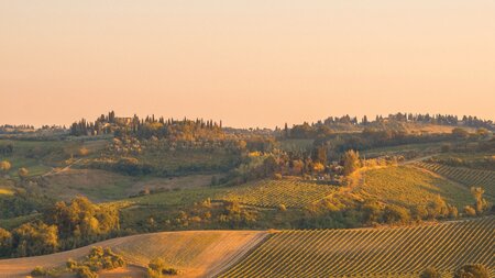 Portrait photo of a landscape farm and hills during sunset.