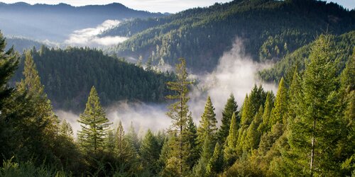 Developing a Biodiversity Monitoring Framework for Aurora Sustainable Lands