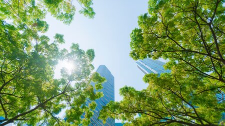 Green trees with tall, glass skyscrapers in the centre of the background during a bright, sunny day.