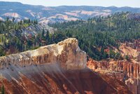 Navigating uncertainties in biodiversity datasets for the mining and minerals sector 