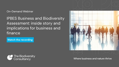 IPBES Business and Biodiversity Assessment: inside story and implications for business and finance