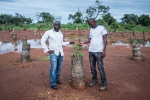 Who are Biodiversity and Ecosystem Services Stakeholders?