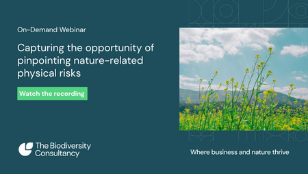 Capturing the opportunity of pinpointing nature-related physical risks