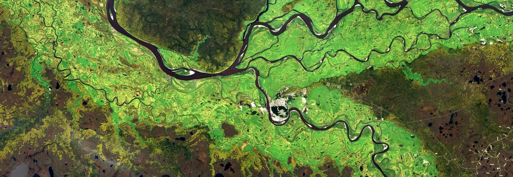 Ob river (summer) from Landsat satellite