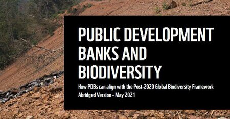 Public Development Banks and Biodiversity