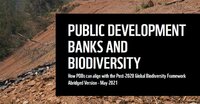 Public Development Banks and Biodiversity 