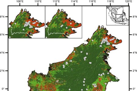 The importance of correcting for sampling bias in MaxEnt species distribution models