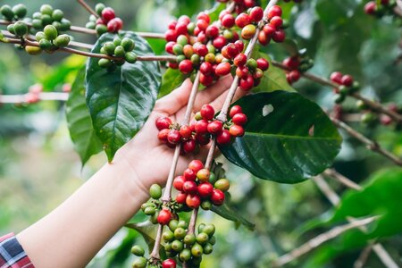 The Biodiversity Consultancy refreshes its brand with a new visual identity