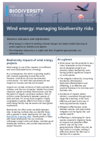 Wind-energy-TBC-IBN-August-2019-1.pdf