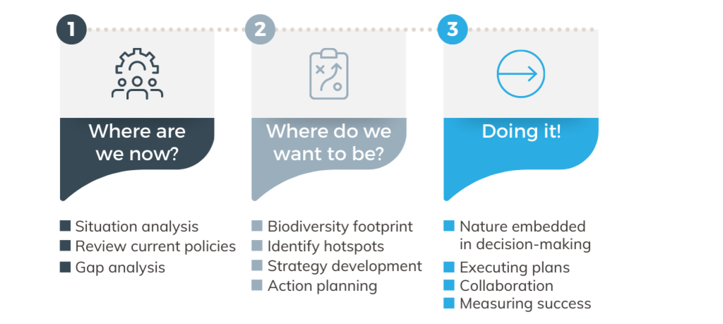 Three step process to start a nature positive journey for businesses