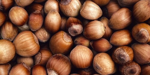 Supporting Ferrero in taking concrete action on nature