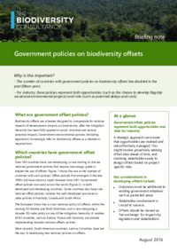 Government-policy-2.pdf