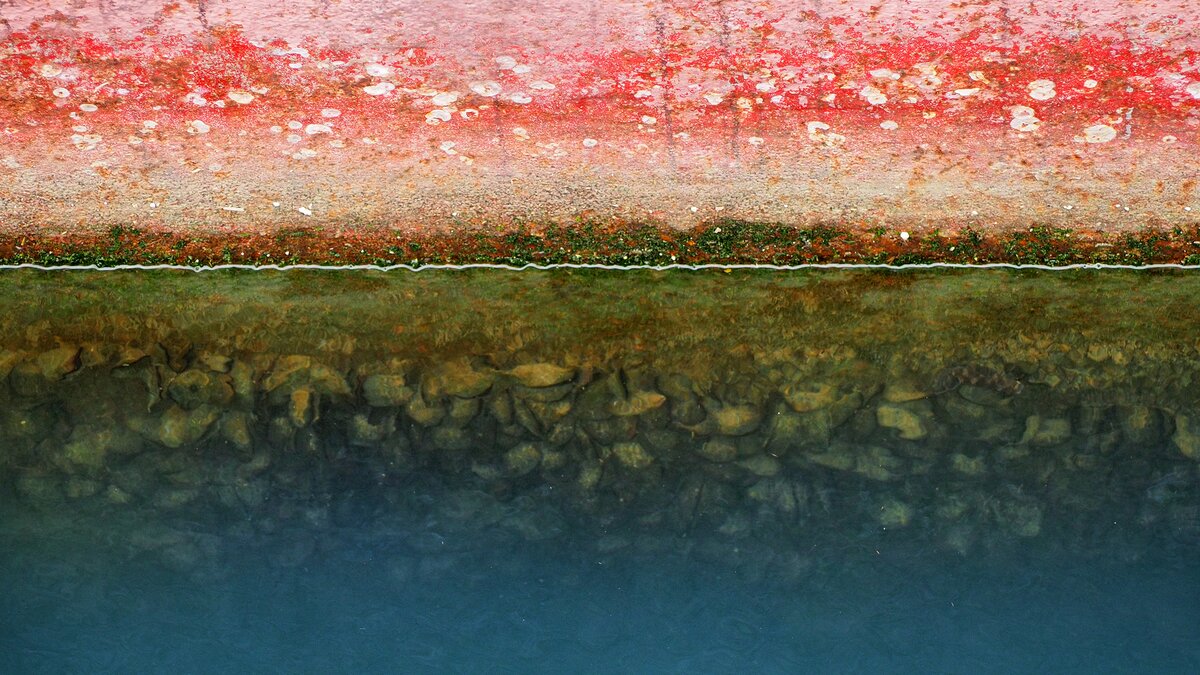Biofouling on the hull of ship at the waterline